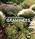 Encyclopédie des graminées