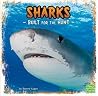 Sharks by Tammy M. Proctor Sharks by Tammy M. Proctor