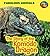The Story of the Komodo Dragon (Heinemann First Library: Fabulous Animals)