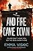 And Fire Came Down (Caleb Zelic, #2)