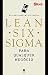 LEAN SIX SIGMA: Para Qualqu...