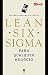LEAN SIX SIGMA by Ricardo Anselmo de Castro