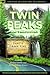 Twin Peaks and Philosophy That's Damn Fine Philosophy! (Popular Culture and Philosophy, 119) by Richard Greene