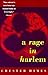 A Rage in Harlem (Harlem Cycle, #1)