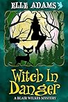 Witch in Danger by Elle Adams