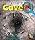 Look Inside a Cave