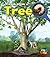 Look Inside a Tree