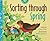 Sorting through Spring (Math in Nature, 2)