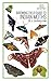 Field Guide to Indian Moths