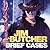 Brief Cases (The Dresden Files, #15.1)