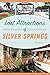 Lost Attractions of Silver ...
