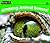 Amazing Animal Senses! (Rising Readers)