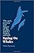Spying on Whales: The Past, Present and Future of the World's Largest Animals