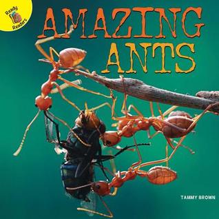 Rourke Educational Media Amazing Ants Reader (Plants, Animals, and People)