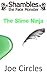 The Slime Ninja: A Terraria...