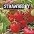 Strawberry (See It Grow)