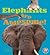 Elephants Are Awesome! (Awesome African Animals!)