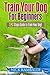 Train Your Dog For Beginner...