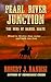 Pearl River Junction (The Sons of Daniel Shaye, 3)