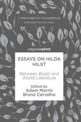 Essays on Hilda Hilst: Between Brazil and World Literature (Literatures of the Americas)
