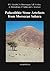 Palaeolithic Stone Artefacts from Moroccan Sahara