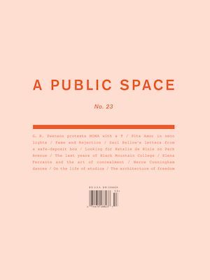 A Public Space no. 23 (Paperback)