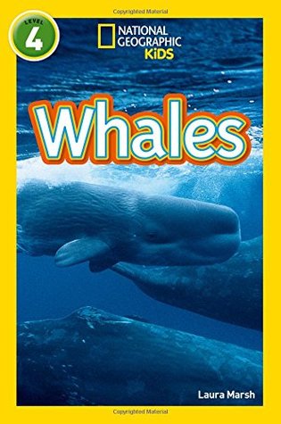 NAT GEO READER - WHALES (Paperback)