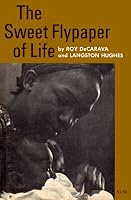 The Sweet Flypaper Of Life By Langston Hughes