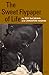 The Sweet Flypaper of Life by Roy; Hughes DeCarava