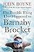 Terrible Thing That Happened To Barnaby Brocket The