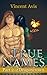 True Names by Vincent Avis
