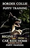 Border Collie Pup...