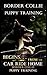 Border Collie Puppy Training Begins . . . From the Car Ride Home by Doug K. Naiyn