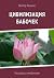 Цивилизация бабочек: Расска...