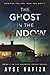 The Ghost in the Window (Haunted House #1)