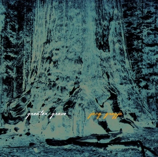 Greater Grave (Paperback)