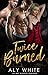 Twice Burned: An MMF Bisexu...