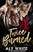 Twice Burned: An MMF Bisexual Romance