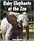 Baby Elephants at the Zoo (All About Baby Zoo Animals)