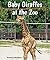 Baby Giraffes at the Zoo (All About Baby Zoo Animals)