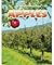 Apples (All About Food Crops)
