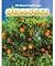 Oranges (All About Food Crops)