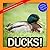 Ducks!: A My Incredible World Picture Book for Children (My Incredible World: Nature and Animal Picture Books for Children)