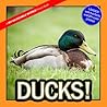 Ducks!: A My Incr...