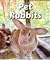 Pet Rabbits (All About Pets)