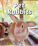 Pet Rabbits (All About Pets)