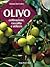 Olivo