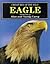Creatures of the Wild: Eagle