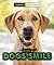 When Dogs Smile (Animal Emotions)