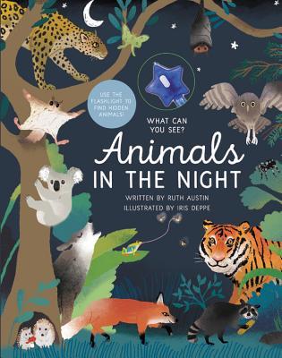 What Can You See? Animals in the Night (Hardcover)